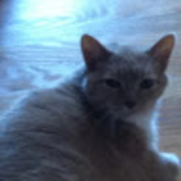 Meet your Posher, Karen - Picture 1 of 1